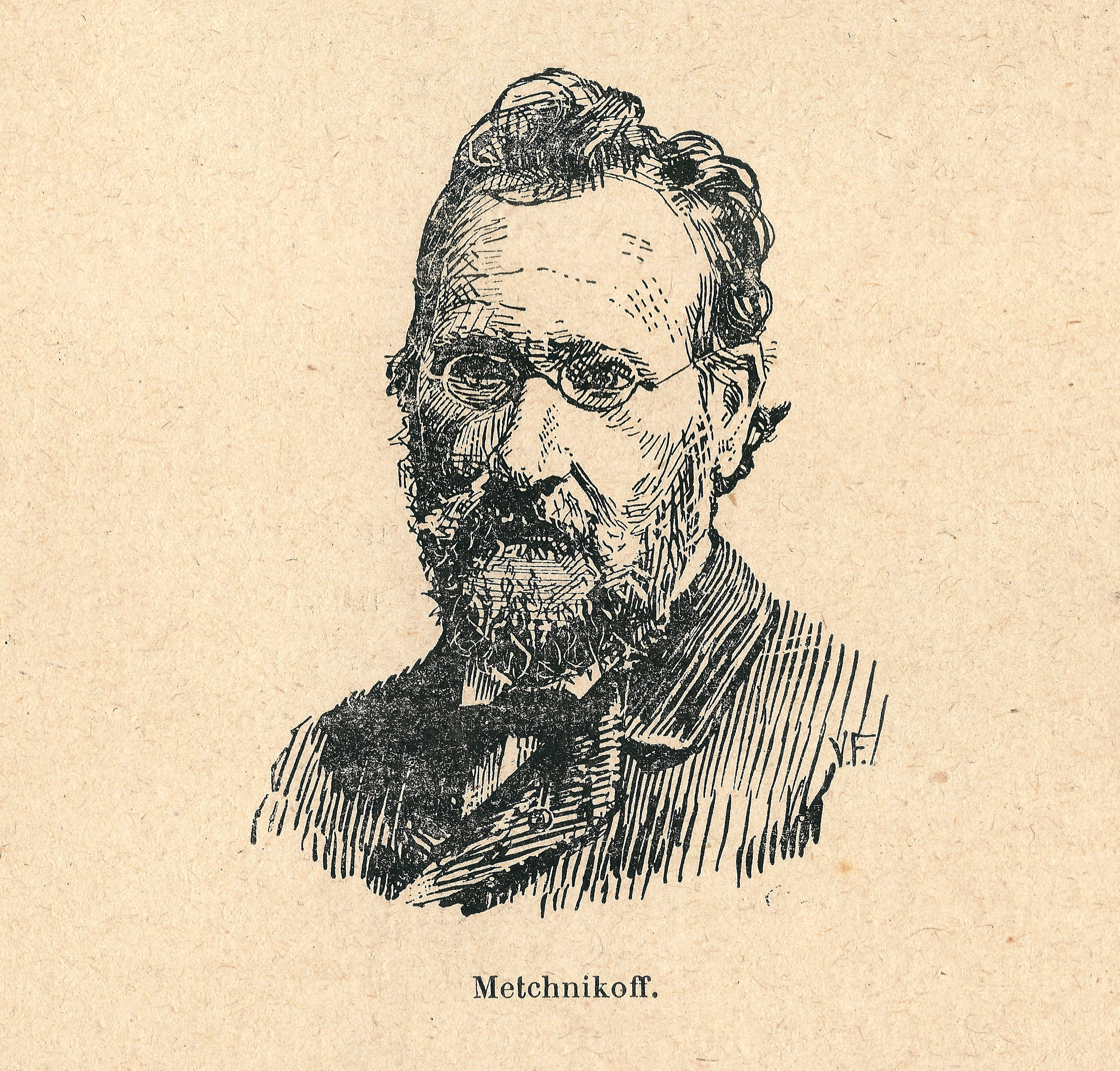 Élie Metchnikoff portrait